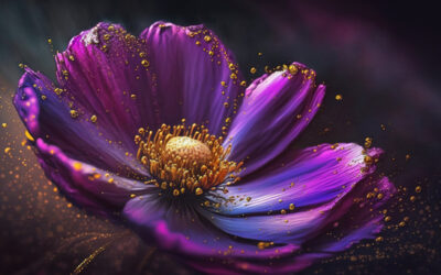 Що мені краще обрати: коучинг чи психотерапію? В чому різниця?